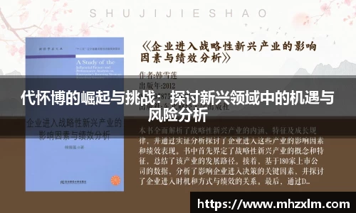 代怀博的崛起与挑战：探讨新兴领域中的机遇与风险分析